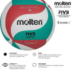 Molten Volleyball