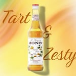 Monin Passion Fruit/Çarkıfelek Şurubu 700 ml