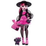 Monster High Acayip Havalı Arkadaşlar - Draculaura Evcil hayvanı Kont Fabulous ve aksesuarlarıyla Monster High Acayip Havalı Arkadaşlar - Draculaura HRP64