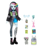 Monster High Acayip Havalı Arkadaşlar - Frankie Stein, 3Y+, HXH73