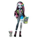 Monster High Acayip Havalı Arkadaşlar - Frankie Stein, 3Y+, HXH73