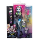 Monster High Acayip Havalı Arkadaşlar - Frankie Stein, 3Y+, HXH73