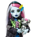 Monster High Acayip Havalı Arkadaşlar - Frankie Stein, 3Y+, HXH73