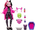 Monster High Bebek ve Pijama Partisi Aksesuarları, Draculaura Doll Pet Yarasa Sayısı Muhteşem, Creepover Partisi, HKY66