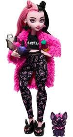Monster High Bebek ve Pijama Partisi Aksesuarları, Draculaura Doll Pet Yarasa Sayısı Muhteşem, Creepover Partisi, HKY66