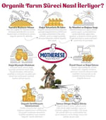Motherese Organik Çorbalık Tahıl Karışımı 400gr - Motherese Organik Bebek Çorbalık Tahıl Karışımı 400gr