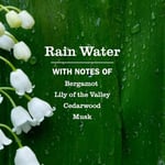 Mrs.Meyers Rain Water Sıvı El Sabunu 370ML