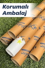 MSticker-Sevimli Safari Hayvanları Ve Gri Yıldızlar Çocuk Bebek Odası Cam Duvar Sticker Seti