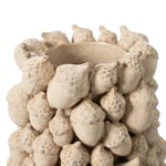Mudo Home Acorn Vazo 25x31 Cm
