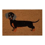 Mudo Home Dog Kapi Paspas 40x60 Cm
