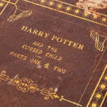 Mudo Home Harry Potter Ki̇tap Kutu 19x8x27cm