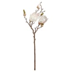 Mudo Home Manolya Çi̇çeği̇ Beyaz 51 Cm