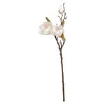 Mudo Home Manolya Çi̇çeği̇ Beyaz 51 Cm