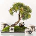 Mudo Home Monkey Wild Kahve Fi̇ncani