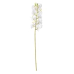 Mudo Home Orki̇de Dal Çi̇çek Beyaz 92 Cm