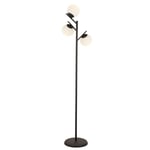Mudo Home Rena 3lü Si̇yah Lambader 30x175 Cm