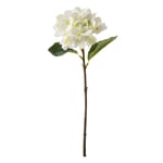 Mudo Home Single Ortanca Çi̇çek Beyaz 42 Cm