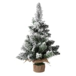 Mudo Home Snowy Çam Ağaci 50 Cm