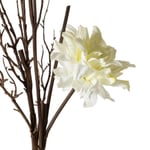 Mudo Home Soft White Dal Çi̇çek 74 Cm