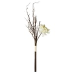 Mudo Home Soft White Dal Çi̇çek 74 Cm
