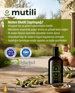 Mutili Natürel Sızma Zeytinyağı, Erken Hasat & Soğuk Sıkım, 500 ml