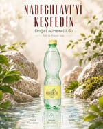 Nabeghlavi Doğal Mineralli Su 500Ml x 12