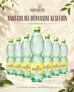 Nabeghlavi Doğal Mineralli Su 500Ml x 12