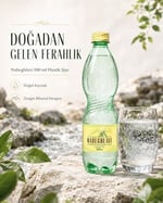 Nabeghlavi Doğal Mineralli Su 500Ml x 12