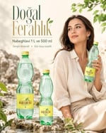 Nabeghlavi Doğal Mineralli Su 500Ml x 12