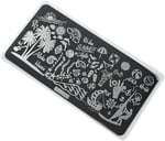 Nail Art Stamping Baskı Plakası