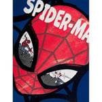 Name It NMMSVENDE SPIDERMAN SWEAT BRU MAR Sweatshirt Erkek çocuk