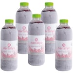 Nartalya Dondurulmuş Sıkma Nar Suyu, 100% Doğal Hicaz Narı, Katkısız, 950 ml, 5 Adet