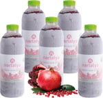 Nartalya Dondurulmuş Sıkma Nar Suyu, 100% Doğal Hicaz Narı, Katkısız, 950 ml, 5 Adet