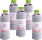 Nartalya Dondurulmuş Sıkma Nar Suyu, 100% Doğal Hicaz Narı, Katkısız, 950 ml, 5 Adet