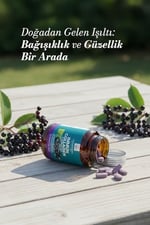 Naturagen Immun Collagen 30 Tablet Bağışıklık Güçlendirici Hidrolize Kolajen Peptitleri Tip 1 3 + B. Glukan + Vitamin A B6 B12 C D E + Glutatyon + Çinko Takviyesi (30 Tablet, Sambucus(Karamürver))