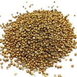 Naturdan Kişniş Tane 500 gr