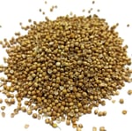 Naturdan Kişniş Tane 500 gr