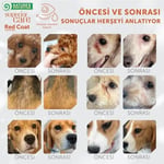 Nature’s Protection Superior Care Kızıl Tüylü Yavru Köpekler İçin Böcek Proteinli Diş Eti & Ağız Bakım Köpek Ödülü 150g