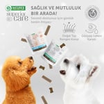 Nature’s Protection Superior Care Kızıl Tüylü Yavru Köpekler İçin Böcek Proteinli Diş Eti & Ağız Bakım Köpek Ödülü 150g