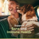 Natures Bounty Calcium Magnesium Zinc + D3 1 Paket(1 x 1 Stück)