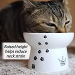 Necoichi Yükseltilmiş Stressiz Kedi Maması Kasesi, Yükseltilmiş, Geri Akış Önleme, Bulaşık Makinesi ve Mikrodalgada Kullanılabilir (Kedi, Normal)