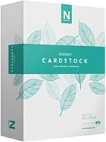 Neenah Vellum Bristol Kartvizit, Hafif, 325 Yaprak, 70Lb/147 gsm, 94 Parlaklık, 8,5