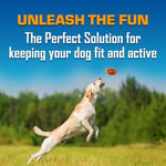 Nerf Köpek Spiral Squeak Futbol Açık Hava Köpek Oyuncağı, 5 İnç Köpek Futbolu Gıcırtılı Oyuncak, Orta ve Büyük Irklar için, Turuncu
