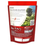 Nescafé Nescafe Classic Çözünebilir Kahve Ekopaket, 100 g