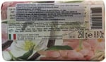 Nesti Dante Dolce Vivere Roma Sabun 250 g