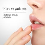 Neutrogena Parfümlü El Kremi 75 ml + Dudak Kremi SPF 20 (4,8 g) — Parfümlü Onarıcı El Kremi — Kuru Dudaklar için Nemlendirici Balm
