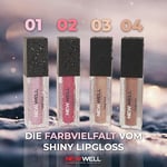 New Well Shiny Liquid Lipgloss (01)