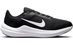 Nike Air Winflo 10 Spor Ayakkabı Kadın