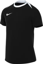 Nike Erkek Df Acdpr24 T-Shirt
