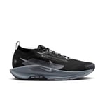 Nike Erkek Pegasus Trail 5 Gore-tex
